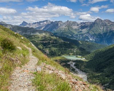 Schweiz2016-52 Es geht am Gegenhang zurück nach Alp Grüm. Ein Panoramaweg.
