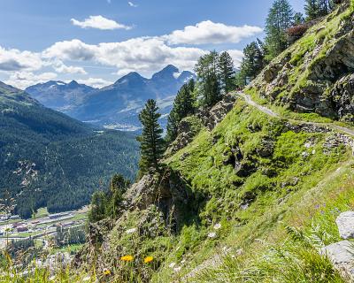Schweiz2016-68 Oberhalb Pontresina gibt es diesen wunderbaren Höhenweg von Languard-Alpe Richtung Unterer Schafberg.