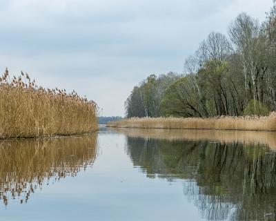Ruppiner Seen-14  Auf dem Weg nach Kremmen ist der Schilfgürtel immer wieder schön anzusehen.