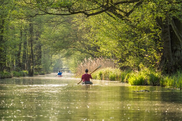 Spreewald