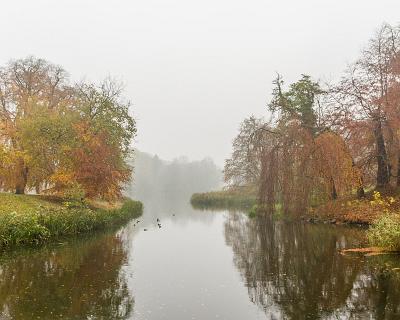 Bild_2015-88 Schlosspark Putbus im Regen