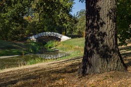 Dessau_Woerlitz_2018-16 Die Bogenbrücke nahe dem Landhaus.