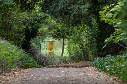 Dessau_Woerlitz_2018-10 Im ganzen Park gibt es mit den Augen immer wieder etwas zu entdecken, hier die 