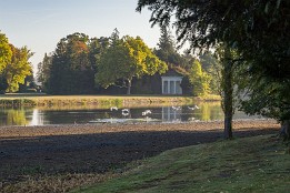 Dessau_Woerlitz_2018-13 Blick zum Nymphaeum am Morgen. Leider fehlt ca. 1m Wasser in den Seen nach dem trockenen Sommer.