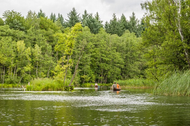 2010 Mecklenburger Kleinseen