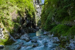 Sloweinien_2026-211 Tomlin-Schlucht