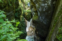 Sloweinien_2026-213 Tomlin-Schlucht