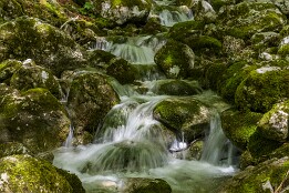 Sloweinien_2026-76 Zulauf zur Mostnica