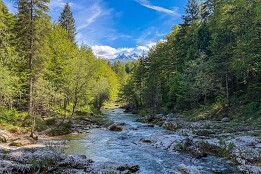 Sloweinien_2026-80 Mostnica