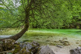Sloweinien_2026-88 Savica