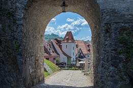 Sloweinien_2026-242 Durchblick